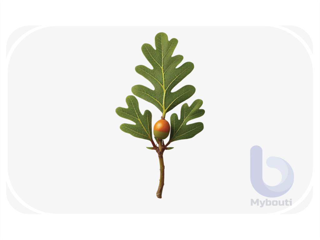 oak